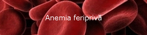 Anemia feripriv�