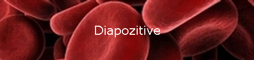 Diapozitive