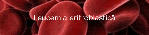 Leucemia eritroblastic�
