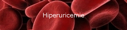 Hiperuricemie