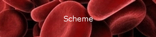 Scheme