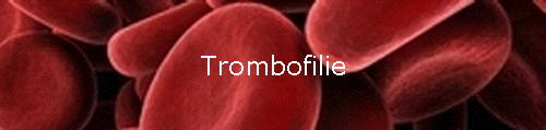 Trombofilie